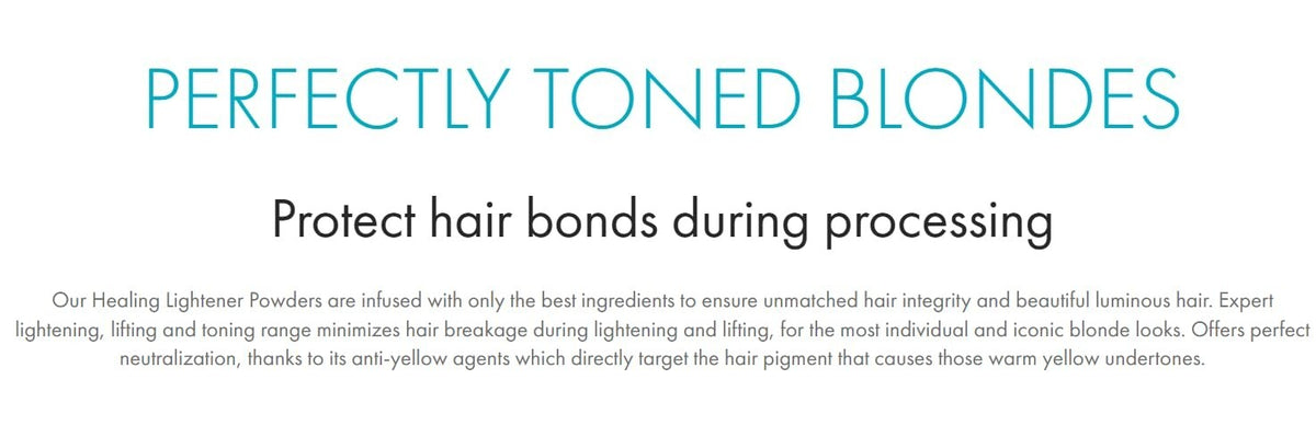 Perfect Blond Blue Lightener Powder 10 Levels 500g Hair Bleach