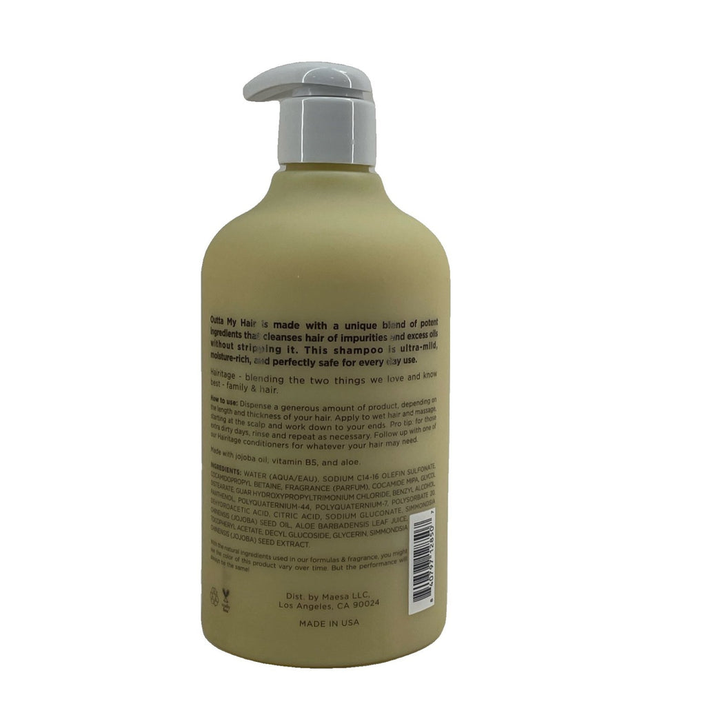 Gentle Daily Shampoo 13 oz 2 Pack for Healthy Hair - Sulfate-Free, Plant-Based