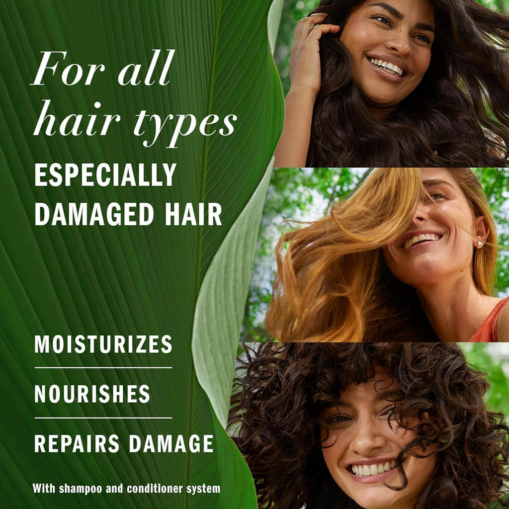 Herbal Essences Argan Oil of Morocco Shampoo & Conditioner Set - 20.2 Fl Oz 2 Pack