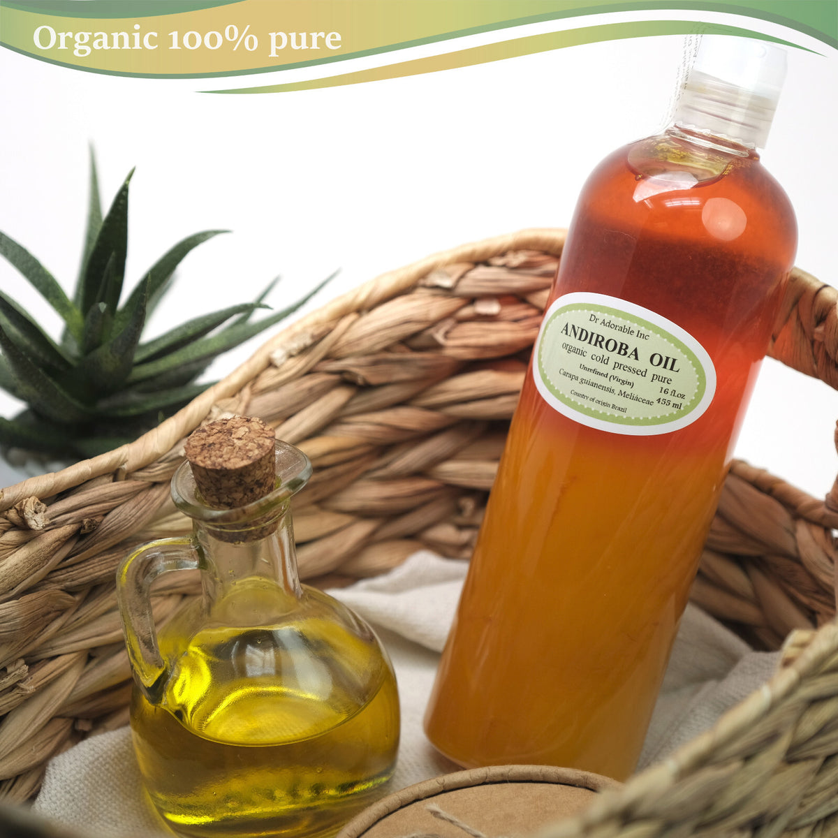 Organic Cold Pressed Andiroba Oil - 16 OZ Pure Natural Skin & Hair Care