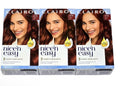 3 Pack Permanent Hair Color Kit - Clairol Nice'n Easy 6TR Truest Red