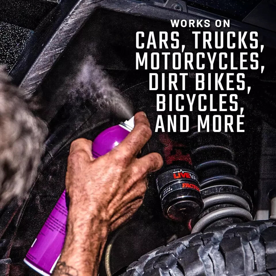 Long-Lasting Car Shine & Protectant Spray - Clear Gloss Finish