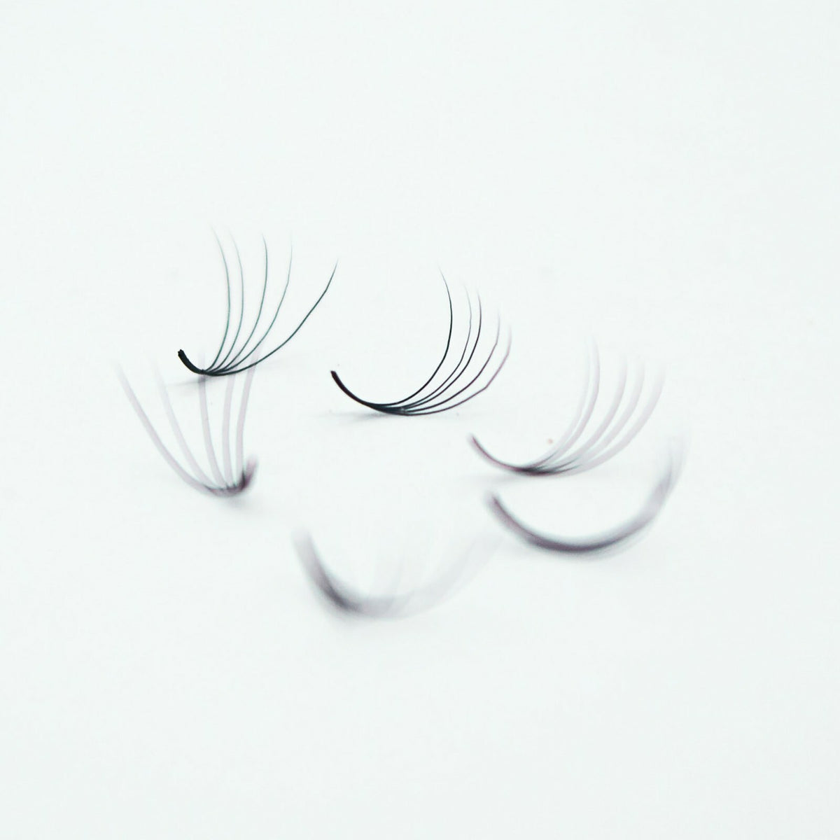 1000 Fans Premade Volume Eyelash Extensions - Handmade Lash Fans for Lash Artists
