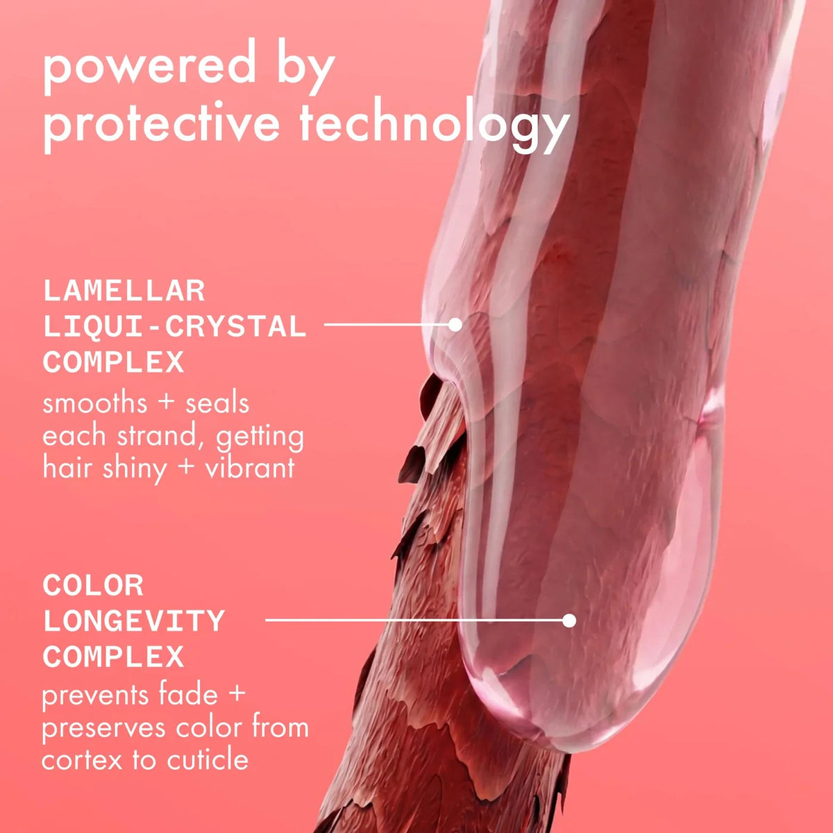 Color Protect and Strengthen Shampoo, Conditioner & Treatment Set for Color-Treated Hair