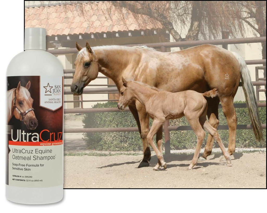Equine Oatmeal Horse Shampoo - Gentle Skin Relief & Shine 32 oz