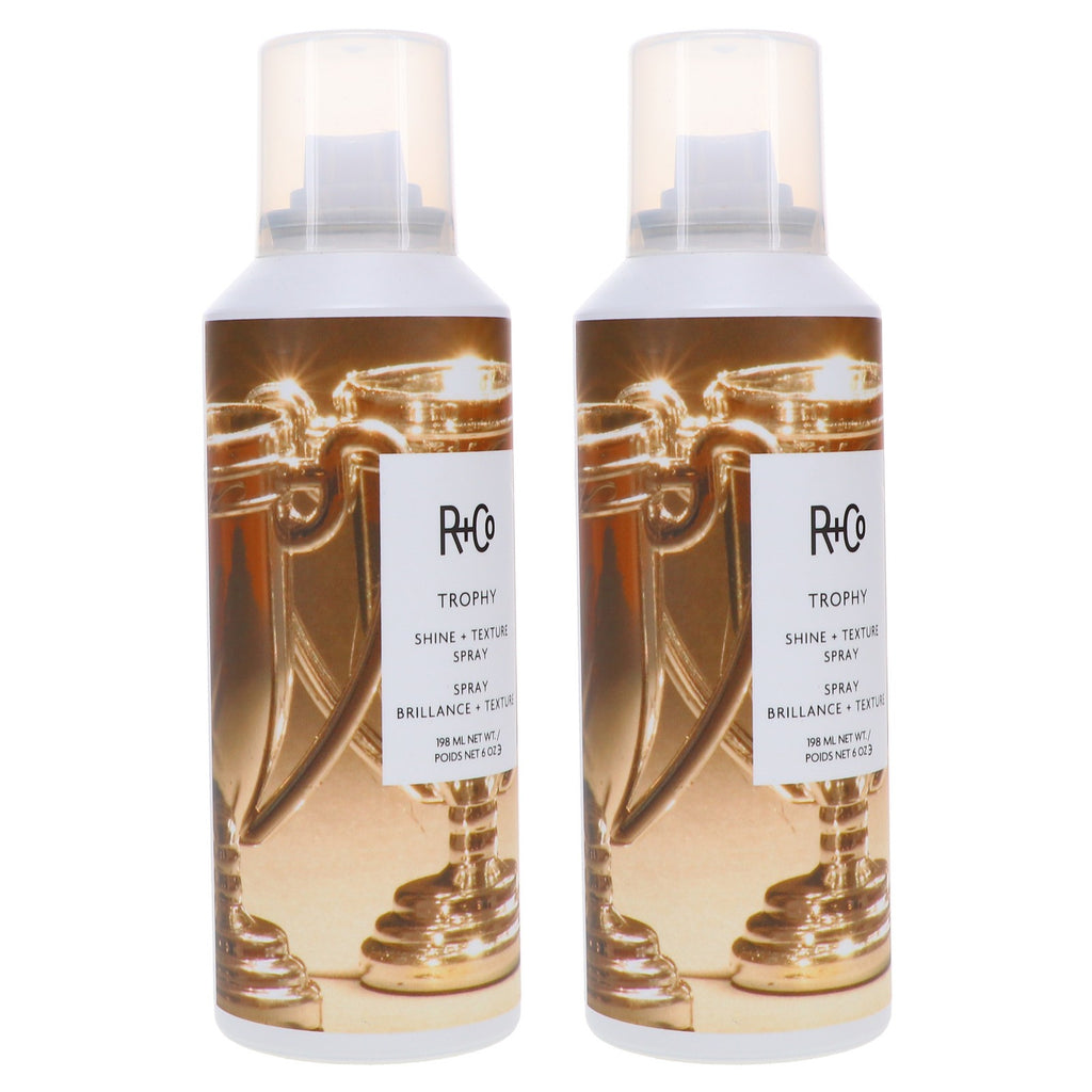 Hair Texturizing & Shine Spray - 6 oz 2-Pack for Volume & Flexible Hold