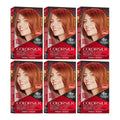 Hair Color Kit 6 Pack Bright Auburn Permanent Hair Dye with Nourishing Conditioner