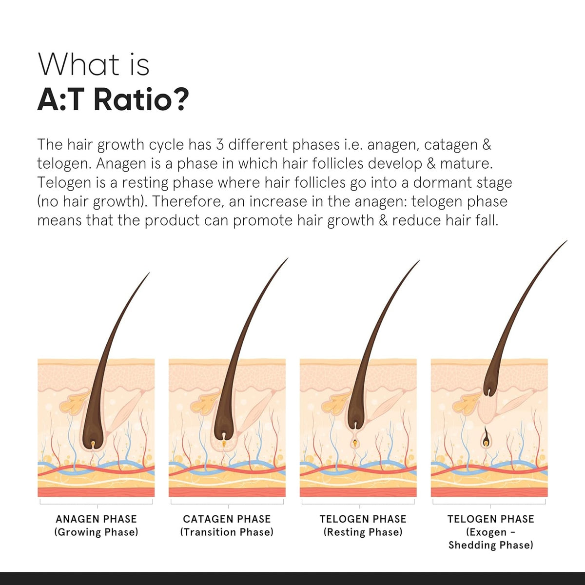 Hair Density Serum 18% with Procapil & Redensyl for Hair Fall Control - 30ml