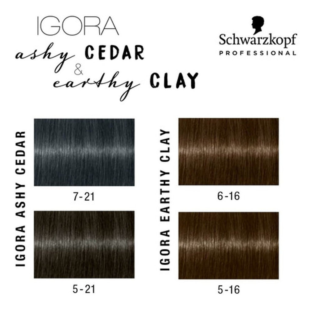 Igora Royal Ashy Cedar / Earthy Clay Hair Color 2.1 oz – Choose Your Color