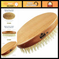 Men's Travel Boar Bristle Hair & Beard Brush - Natural Oil Distribution