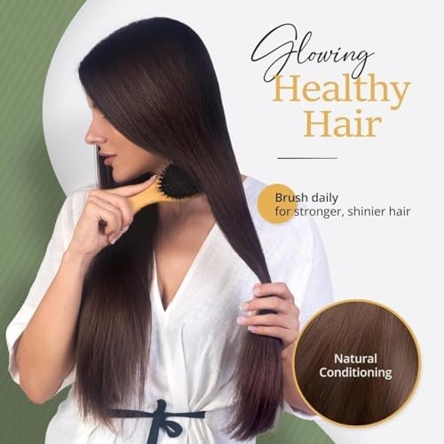 Boar Bristle Hair Brush for Detangling & Styling - Bamboo Oval Comb