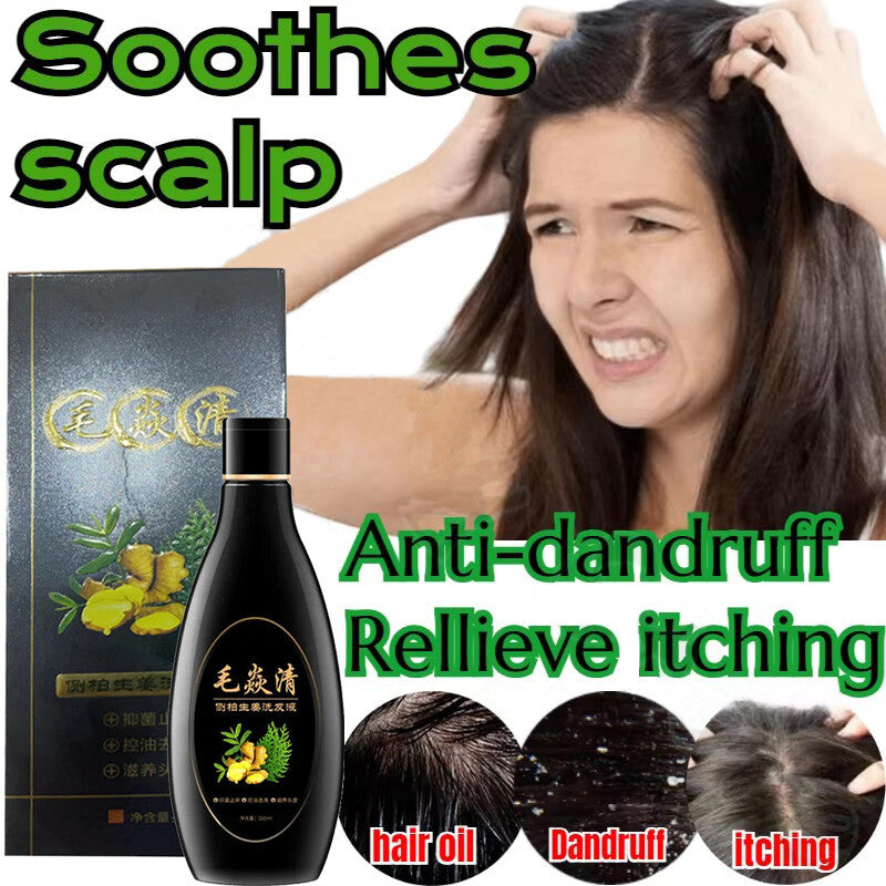 Natural Scalp & Hair Follicle Shampoo for Dandruff Itching Oil Control 200ml
