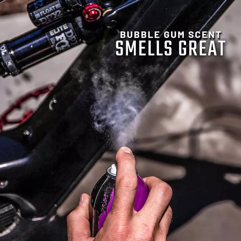Long-Lasting Car Shine & Protectant Spray - Clear Gloss Finish