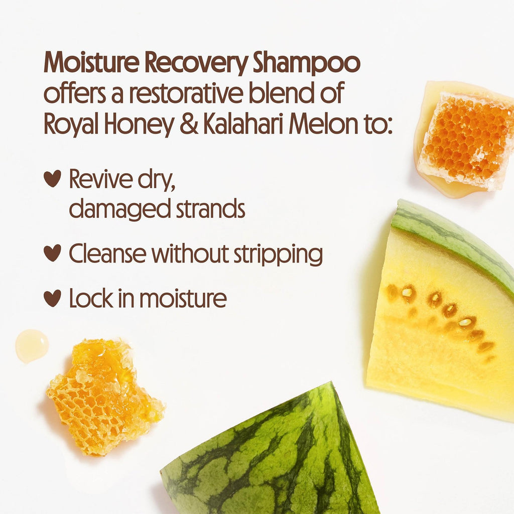 Nourishing Hair Shampoo & Conditioner Set - Honey Melon & Royal Honey - 15.2 Fl Oz Pack of 2