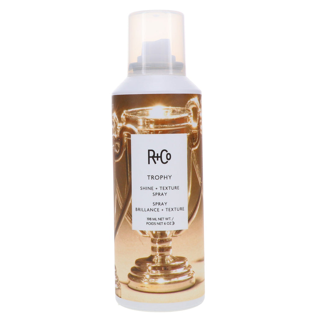 Hair Texturizing & Shine Spray - 6 oz 2-Pack for Volume & Flexible Hold