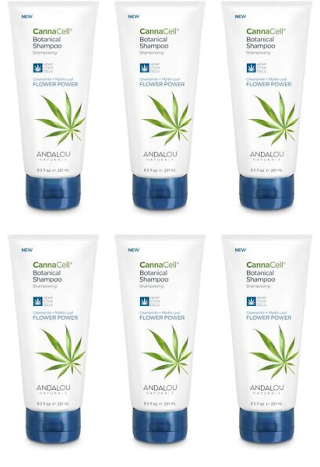 Bulk 6-Pack Andalou Flower Power Botanical Shampoo 8.5oz for Hair Care