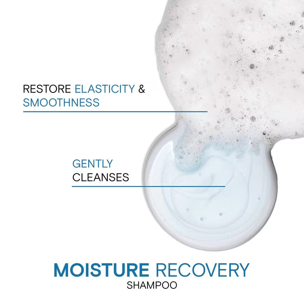 Moisture Recovery Hair Care Set with Shampoo Conditioner & Hairspray - Joico