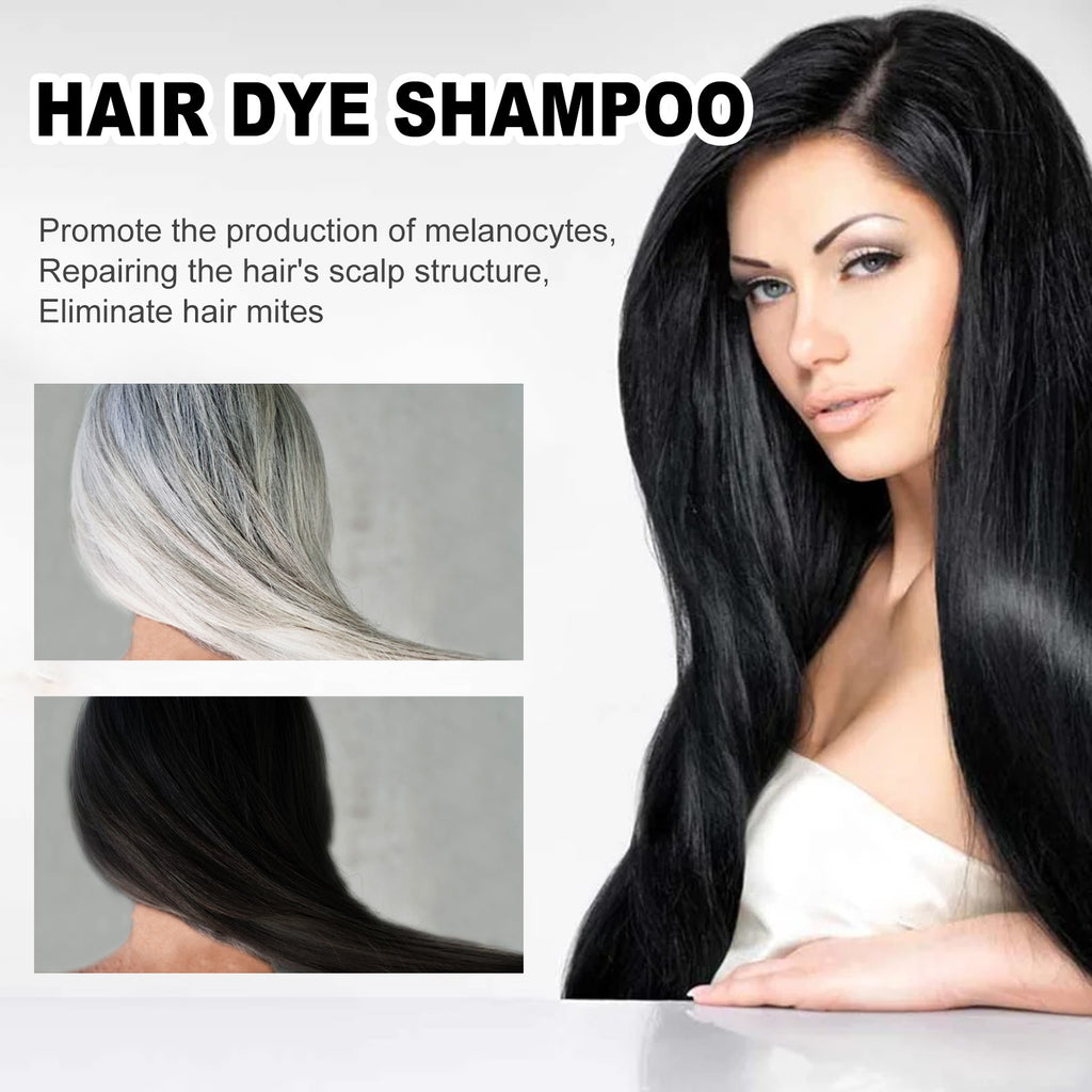 Black Hair Dye Shampoo 3-in-1 Grey Coverage & Hair Care - Luxelamps