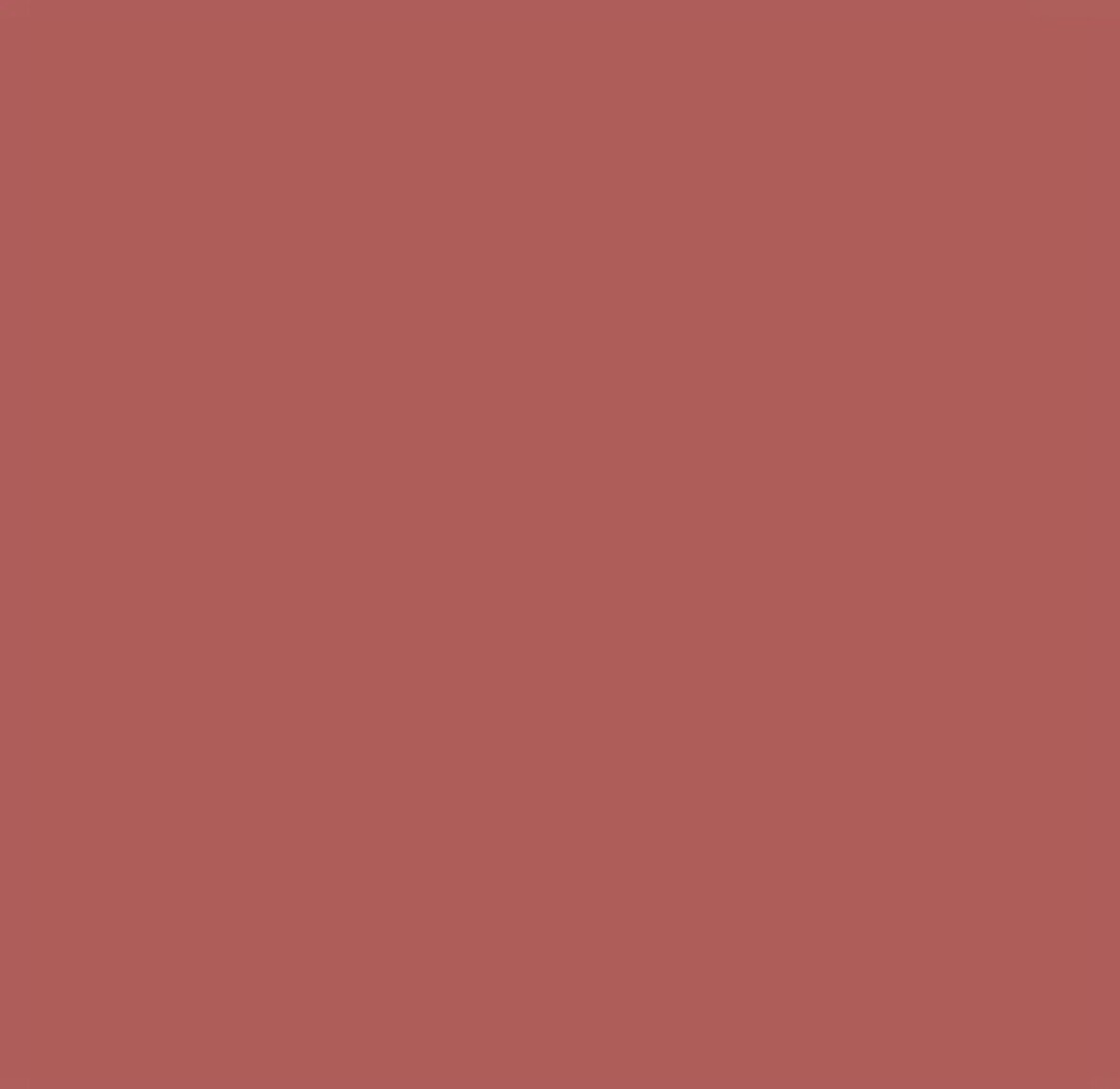 Liquid Lipstick Matte in Blossom Nude – Studio Look, 6ml