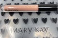 No Box Mary Kay Unlimited Lip Gloss Soft Nude Full Size